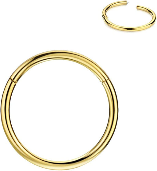 FANSING 316L Surgical Steel Hinged Nose Rings Hoop 20G 18G 16G 14G 12G 10G 8G 6G, Diameter 5Mm to 22Mm, Gold - Rose Gold - Silver - Black - Blue - Rainbow