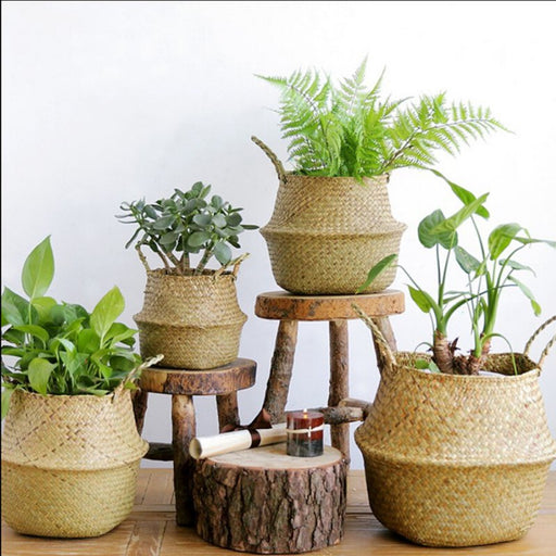 Seagrass Basket with Handles | 3 Sizes | Woven Basket for Plants, Belly Basket, Blanket Holder | Multipurpose Decorative Storage Baskets