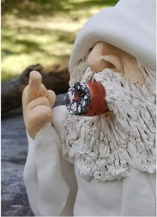 Tirifer Garden Gnome, Wizard Gnome 3D Dwarves, Polyresin Outdoor Sculpture Middle Finger Gnome Statue Garden Figurine Art Garden Decoration for Lawn Yard Balcony Porch Patio