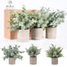 3 Pack Mini Potted Fake Plants Artificial Plastic Eucalyptus Plants for Home Office Desk Farmhouse Room Decor