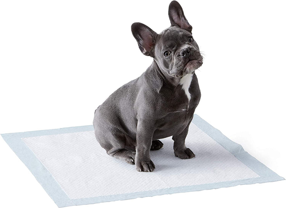 Dog and Puppy Pee Pads with Leak-Proof Quick-Dry Design for Potty Training, Standard Absorbency, Regular Size, 22 X 22 Inches - Pack of 100