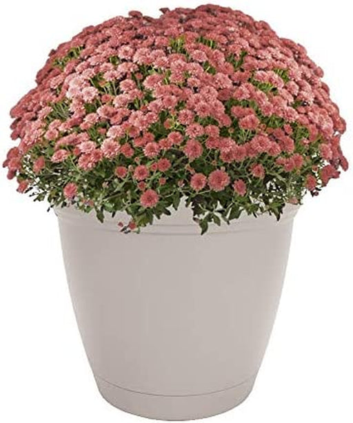 6 Inch Eclipse round Planter with Saucer - Indoor Outdoor Plant Pot for Flowers, Vegetables, and Herbs, Cottage Stone