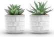 Set of 2 Succulents Plants Artificial Fake Plants for Living Room Bathroom Bedroom Aesthetic Home Kitchen Decor