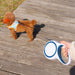 Retractable Dog Leash, 16FT Pet Walking Leash with Anti-Slip Handle for Small Medium Dogs and Cats, Nylon Tape & Tangle-Free