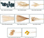 86PCS Natural Dried Pampas Grass Decor,Boho Room Decor Bouquet,Eucalyptus Dried Flowers,Centerpiece Table Decorations Bouquet for Wedding Floral Arrangements Home Living Room Decorations