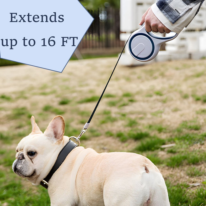 Retractable Dog Leash, 16FT Pet Walking Leash with Anti-Slip Handle for Small Medium Dogs and Cats, Nylon Tape & Tangle-Free
