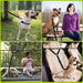 Dog Seat Belt, Black Adjustable Pet Puppy Doggie Car Safety Harness Restraint Headrest 2 Piece