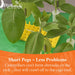 Short Peg Rack with 8 Large Floral Tubes to Feed Caterpillars Fresh Milkweed Cuttings, Host Plants, and Nectar Flowers by