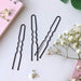 U Shaped Hair Pins,  2.4 Inch Hair Pins for Buns Ballet Bun Hair Pins for Women with Storage Box