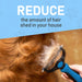 Pet Grooming Brush - Double Sided Shedding and Dematting Undercoat Rake Comb for Dogs and Cats,Extra Wide, Blue, Dog Grooming Brush, Dog Shedding Brush