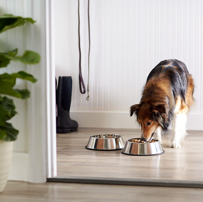 Stainless Steel Pet Dog Water and Food Bowl, Set of 2 (11 X 3 Inches)