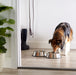 Stainless Steel Pet Dog Water and Food Bowl, Set of 2 (11 X 3 Inches)