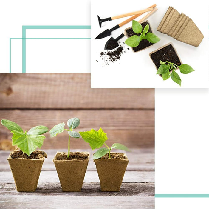 3.25" Seed Starter Pots, Organic Planting Peat Pots for Garden Seedling, 30 Pcs 100% Eco-Friendly and Biodegradable Seedling Pots for Seed Germination