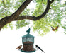 Bird Feeder for outside Hanging,Squirrel Proof Wild Bird Seed Feeders for Outdoor, Metal Large Bird Feeders Waterproof with 4 Lbs Seed Capacity for Cardinal, Sparrow,Finch,Chickadee Etc