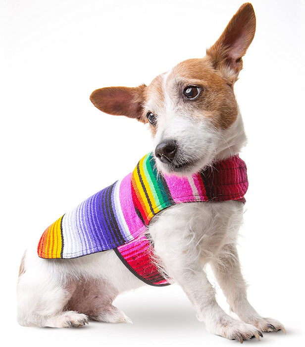 Dog Clothes - Handmade Dog Poncho from Authentic Mexican Blanket by  (Blue, Large)
