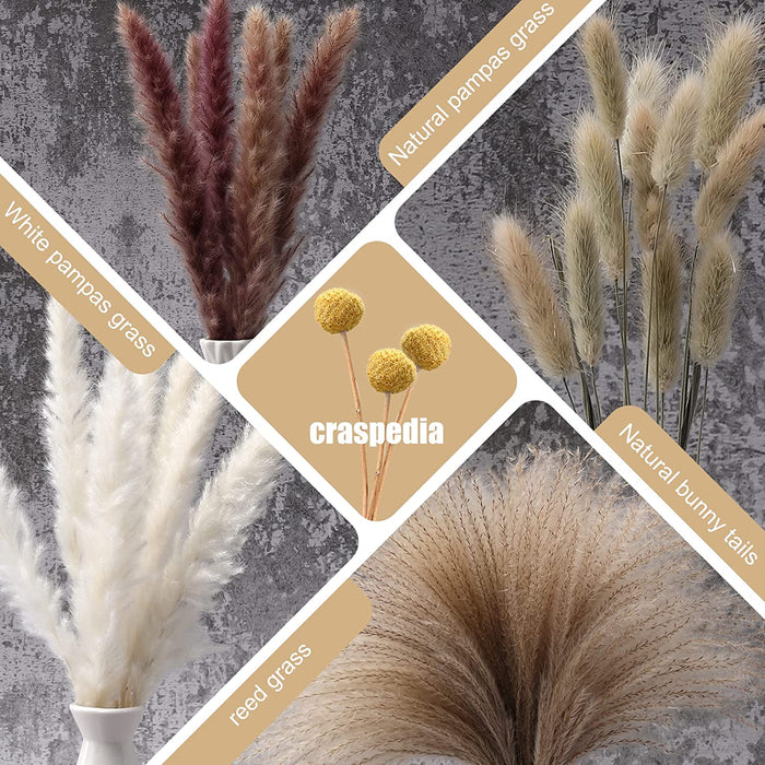 Dried Pampas Grass Boho Decor - 85 Pieces 17.5" Natural Fluffy Dried Flowers for DIY Decor Birthday Contains Pampas Grass & Pampas Flower & Reed Grass & Bunny Tail Grass & Craspedia