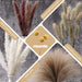 Dried Pampas Grass Boho Decor - 85 Pieces 17.5" Natural Fluffy Dried Flowers for DIY Decor Birthday Contains Pampas Grass & Pampas Flower & Reed Grass & Bunny Tail Grass & Craspedia