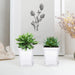 30Pcs 2.7 Inches Nursery Pots with Trays, 50Pcs Plant Labels, Thickened Square Transplanting Pots Kit, Plant Seed Starter, Drain Holes, Germination, Home Décor, Garden, Balcony, White