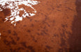 Cowhide Rug Faux Cow Shaped Rug Western Decor for Home Approx 4.5' X 6.2'