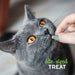 Cloud Star Grain Free  for Cats, Tender Chicken, 3 Ounce