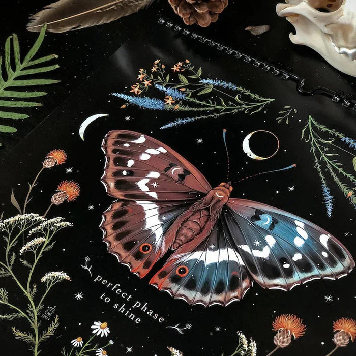 Dark Forest 2023 Lunar Colorful Wall Calendar
