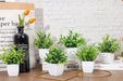 6 Packs Fake Plants, Mini Artificial Plants Indoor for Home Farmhouse Bathroom Shelf Decor…