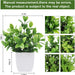 6 Packs Fake Plants, Mini Artificial Plants Indoor for Home Farmhouse Bathroom Shelf Decor…