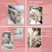86PCS Natural Dried Pampas Grass Bouquet,Boho Home Decor Bouquet, Phragmites Dried Flowers,Bouquet for Wedding Floral Arrangements Home Decorations