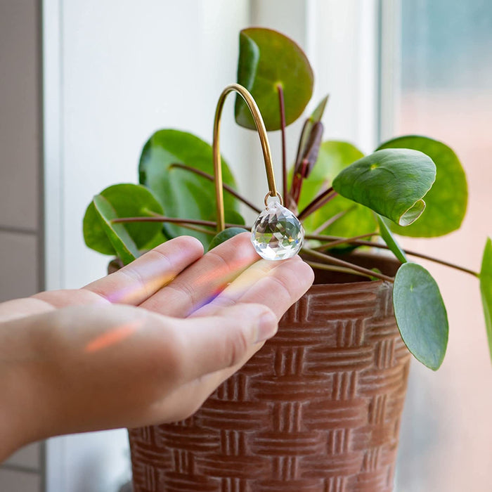 Suncatcher - Plant Suncatcher, Gold Shepherds Hook with Single Hanging K9 Crystal Prism, 6.3X2.2