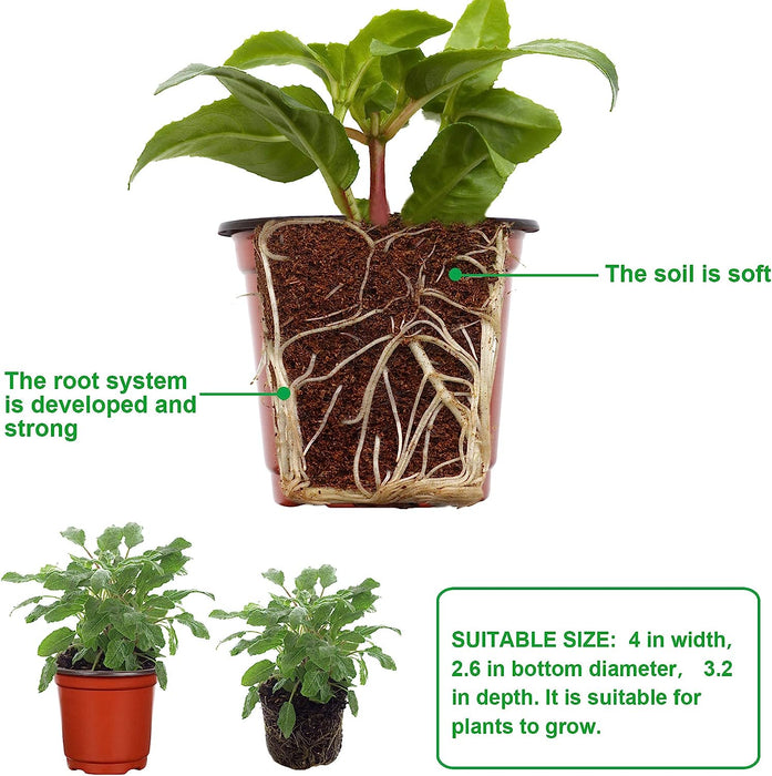 110 Pcs 4" Plastic Plants Nursery Pot,Seed Starting Pots