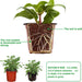 110 Pcs 4" Plastic Plants Nursery Pot,Seed Starting Pots