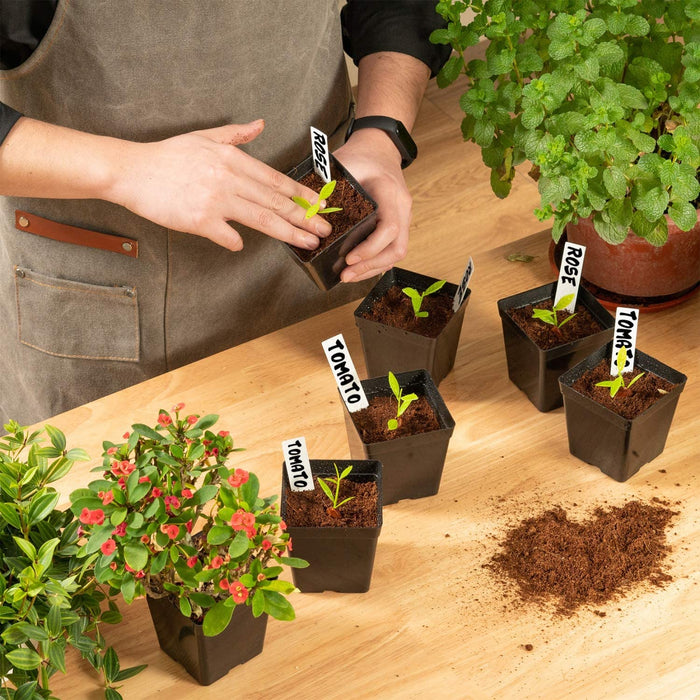 Square Nursery Pots 3.3 Inches Flexible Plastic Seedling Pots Square Pots for Plants, Succulent, Flower, Pack of 60, with 60 PCS Plant Labels