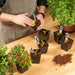 Square Nursery Pots 3.3 Inches Flexible Plastic Seedling Pots Square Pots for Plants, Succulent, Flower, Pack of 60, with 60 PCS Plant Labels