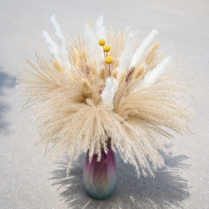 Dried Pampas Grass Boho Decor - 85 Pieces 17.5" Natural Fluffy Dried Flowers for DIY Decor Birthday Contains Pampas Grass & Pampas Flower & Reed Grass & Bunny Tail Grass & Craspedia