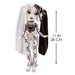 Shadow High Series 1 Heather Grayson- Grayscale Fashion Doll. 2 Grey Designer Outfits to Mix & Match with Accessories, Great Gift for Kids 6-12 Years Old and Collectors