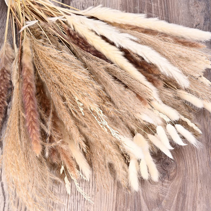 Pampas Grass Home Decor,100Pcs Dried Flowers Bouquet for Wedding Floral Arrangements,Home Decorations,Party Decorations