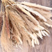 Pampas Grass Home Decor,100Pcs Dried Flowers Bouquet for Wedding Floral Arrangements,Home Decorations,Party Decorations