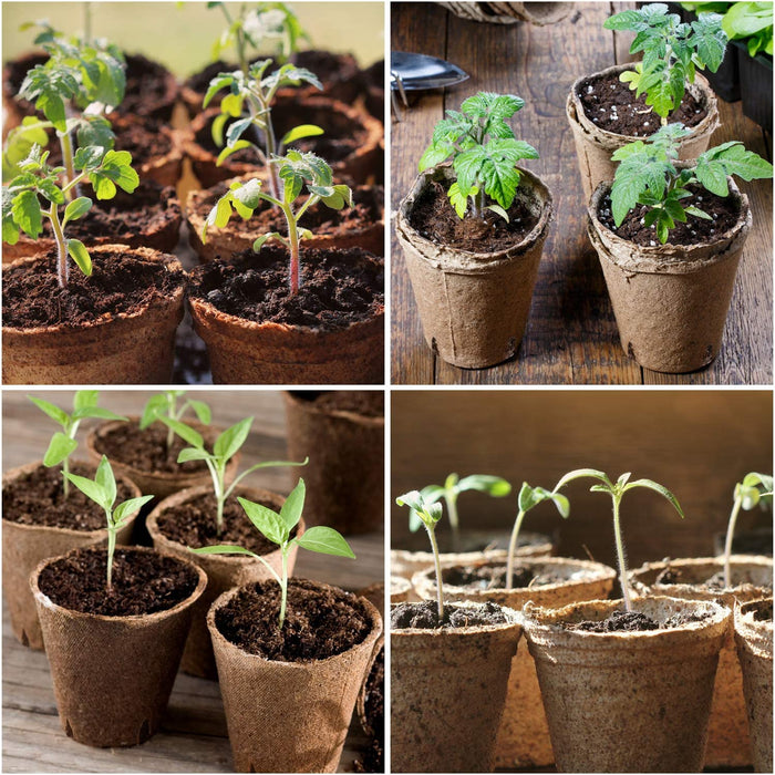 Peat Pots, 120 Pcs 3.15 Inch Seed Starting Pots with Drainage Holes round Nursery Pot, Biodegradable Plants Pots with Bonus 20 Plant Labels