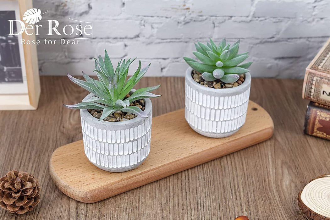 Set of 2 Succulents Plants Artificial Fake Plants for Living Room Bathroom Bedroom Aesthetic Home Kitchen Decor