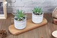 Set of 2 Succulents Plants Artificial Fake Plants for Living Room Bathroom Bedroom Aesthetic Home Kitchen Decor