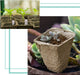 3.25" Seed Starter Pots, Organic Planting Peat Pots for Garden Seedling, 30 Pcs 100% Eco-Friendly and Biodegradable Seedling Pots for Seed Germination