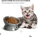 Raised Cat Food Bowl, Ceramic Elevated Cat Bowl, Title Angle Protect Cat'S Spine, anti Vomiting Cat Dish, Backflow Prevention, Grey