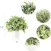 Fake Plants in Ceramic Pot, 3 Pack Potted Artificial Eucalyptus Plants for Home Decor Indoor Faux Green Rosemary for Desk Shelf Coffee Centerpiece Bathroom Office Decor