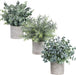 Set of 3 Mini Potted Artificial Eucalyptus Plants Plastic Fake Green Rosemary Plant for Home Decor Office Desk Shower Room Decoration