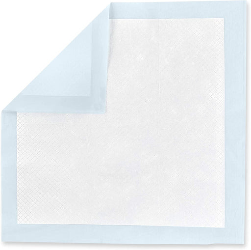 Dog and Puppy Pee Pads with Leak-Proof Quick-Dry Design for Potty Training, Standard Absorbency, Regular Size, 22 X 22 Inches - Pack of 100