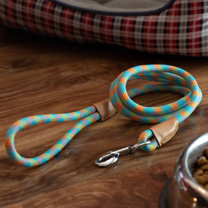Vibrant Life 6' Polyester Mosaic Rope Dog Leash, Multi-Color