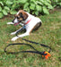 : the Ultimate Ground Anchor | Small 4 Pack Tent Stakes | Made in USA