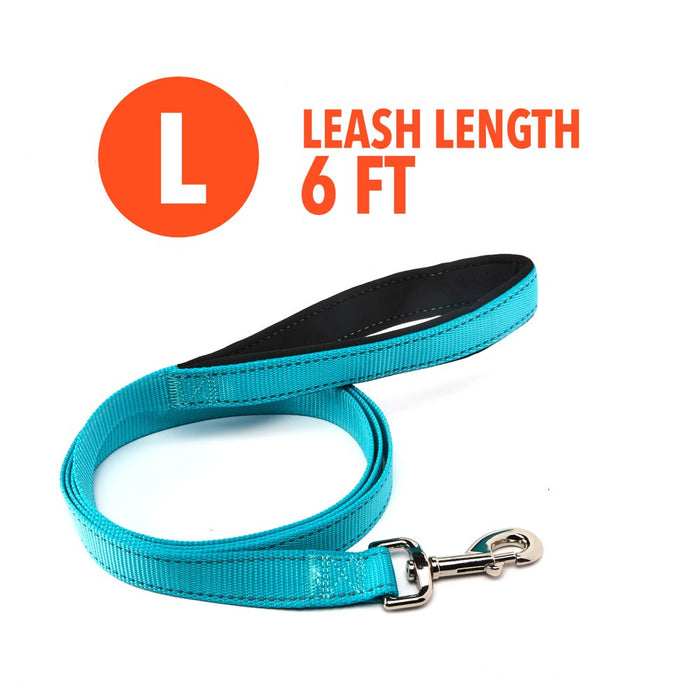 Vibrant Life Reflective Comfort Dog Leash, Large, Teal, 6Ft X 1In