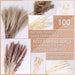Pampas Grass Home Decor,100Pcs Dried Flowers Bouquet for Wedding Floral Arrangements,Home Decorations,Party Decorations