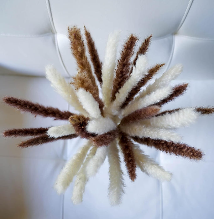 Fluffy Small Bundle of Real Natural Dried Pampas Grass Plant, Feather Length Is 25-35Cm with a Total Length of 45Cm-30 Stem Flower Arrangement for Wedding, Home Décor, Gifts